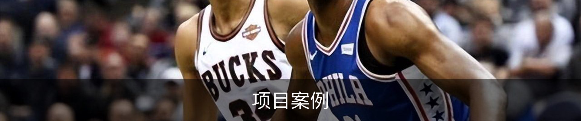 项目案例